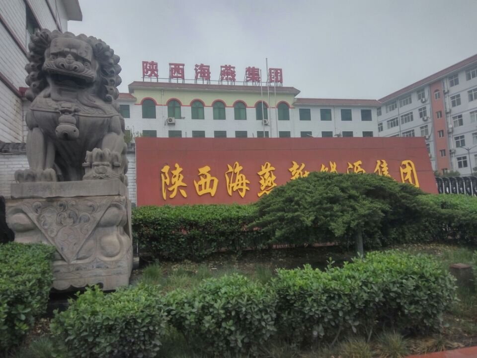 陜西海燕焦化(集團(tuán))有限責(zé)任公司(圖1) 陜西海燕焦化(集團(tuán))有限責(zé)任公司(圖1)